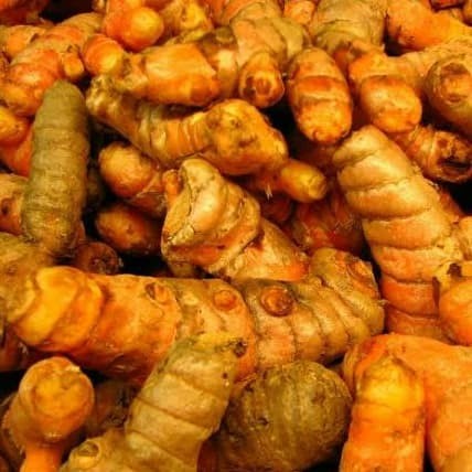 

Kunyit Kuning Curcuma domesticate rhizome 100%