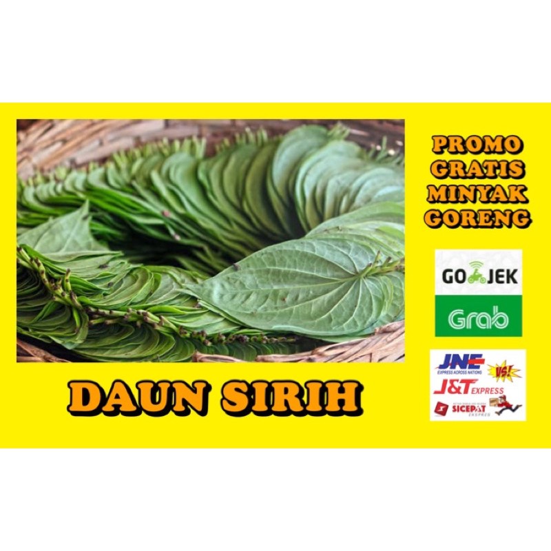 

DAUN SIRIH 1 IKAT