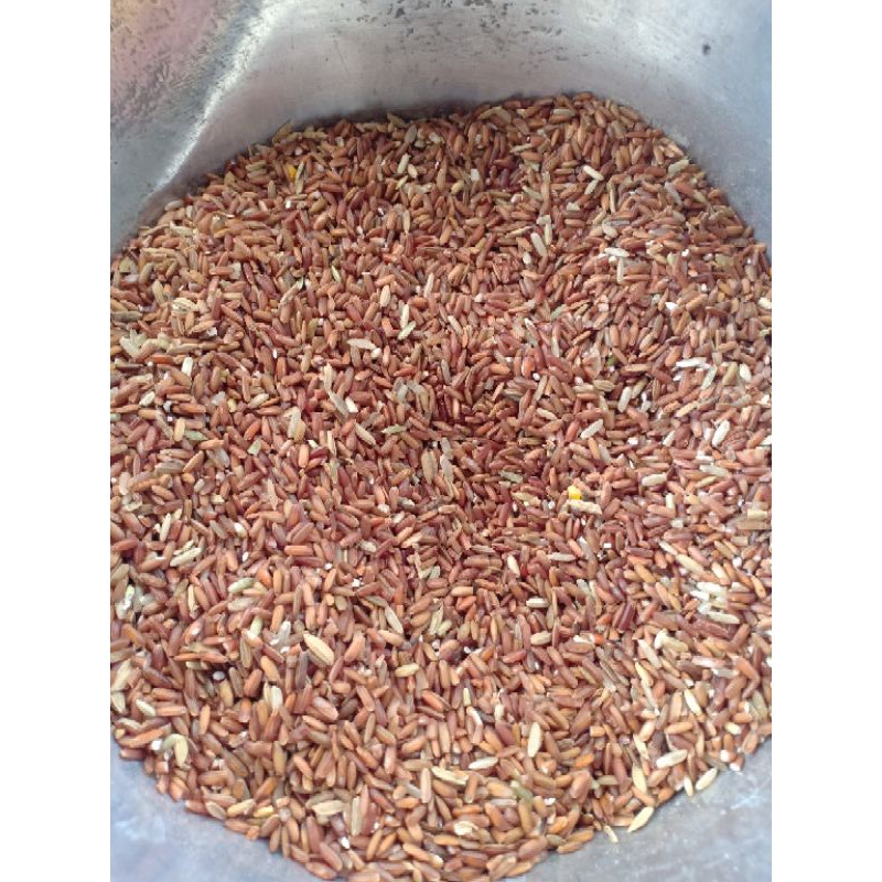 

Beras merah 1kg
