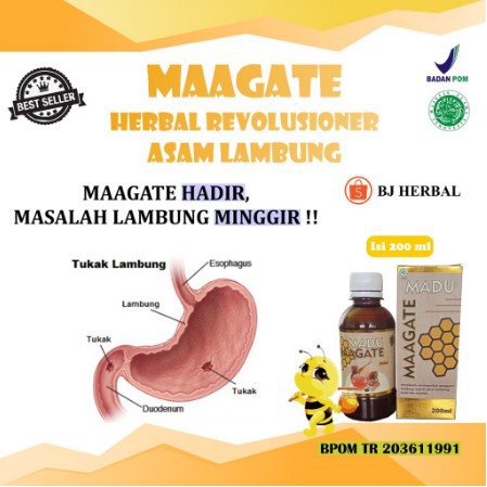 Maagate Obat Maag Kronis, Obat Asam Lambung Tinggi, Obat Infeksi Lambung Madu Madu Maag Ori MAGATE