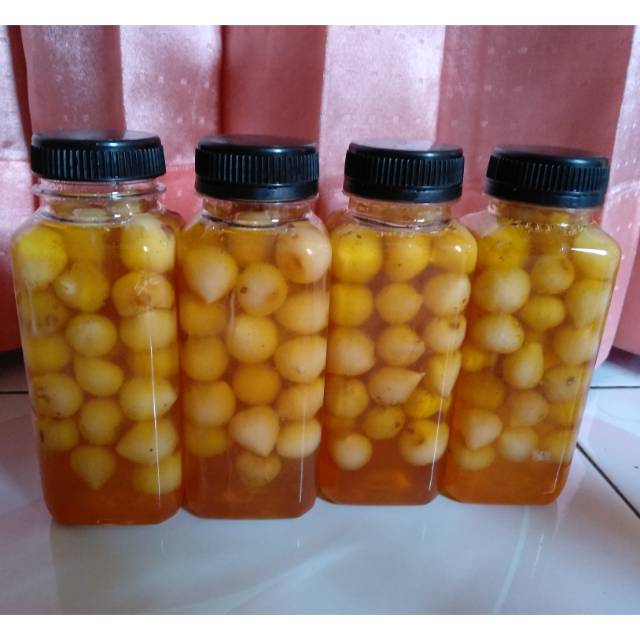 

Madu Bawang Lanang / BAWANG TUNGGAL Untuk PENGOBATAN