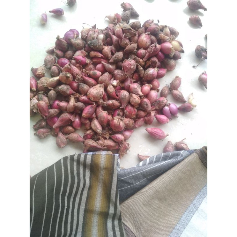 

bawang merah brebes| Bawang Merah Termurah di Bekasi| Bawang Merah Harga Grosir|