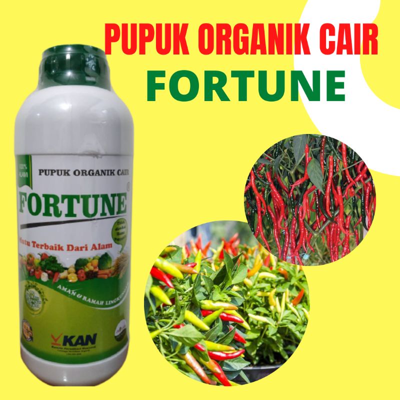 Pupuk Pembesar Pelebat Buah Cabe, Pupuk Pembesar Buah Cabe Rawit