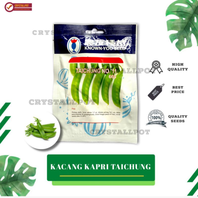 benih bibit KACANG KAPRI TAICHUNG known you seed - KYS KEMASAN BESAR BIRU