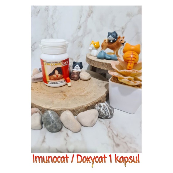 Imunocat /  Doxycat flu kucing 1 kapsul