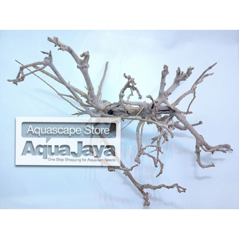 Akar kayu santigi pasir aquascape - Size S, M, L / hiasan aquascape