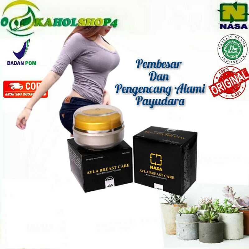KRIM PEMBESAR PAYUDARA AYLA BREAST CARE HERBAL BPOM AMAN SUSU KENCANG PERMANEN