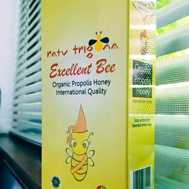 

Madu Klanceng Trigona Exellent Bee/Kelulut Kalimantan
