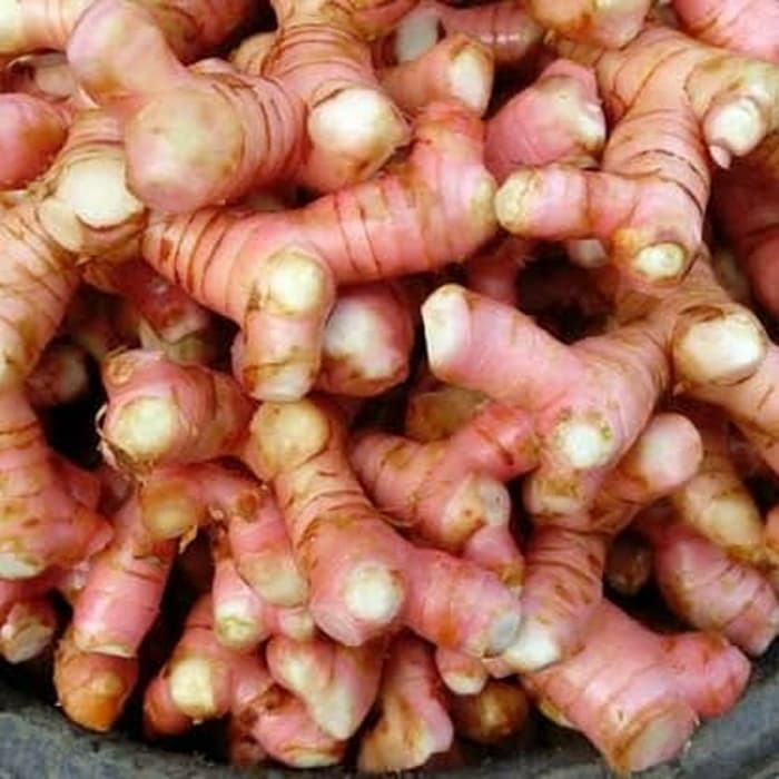 

Lengkuas Fresh 500 gram