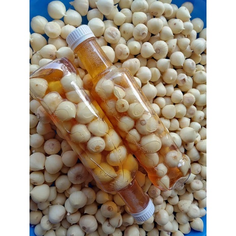

Madu Murah/ Madu Bawang Tunggal