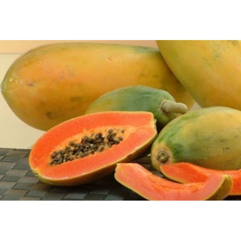 

pepaya california perbuah