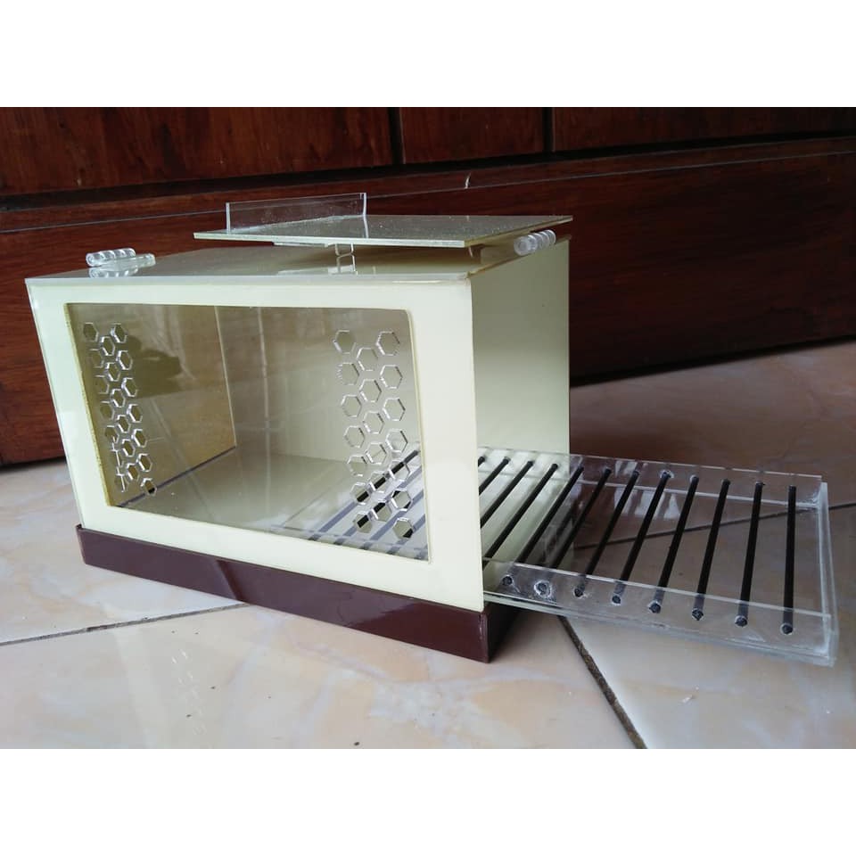 Kandang Untulan Akrilik Box Burung Akrilik Travel Cage Acrylic