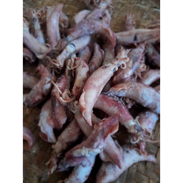 CUMI ASIN SUPER FULL TELUR BERAT 100GR