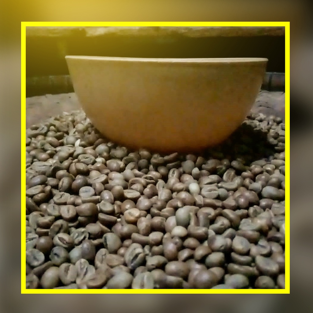 

Harga Green Bean Robusta Natural Fine Per Kg Organik Petik Merah