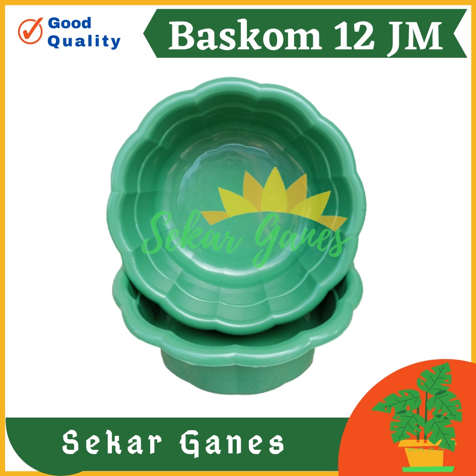 Baskom Plastik Serbaguna Baskom Pencuci Buah Sayur Beras Alat Cuci Beras Buah Dan Sayur Wadah Cuci Beras Saringan Kacang Kacangan Mangkuk Bilas Bowl Serbaguna Import Murah Baskom Hajatan Adonan Kue Lusinan Murah