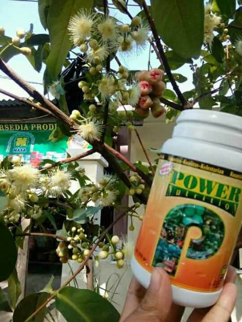 POWER NUTRITION NUTRISI PELEBAT BUAH PUPUK ORGANIK NASA
