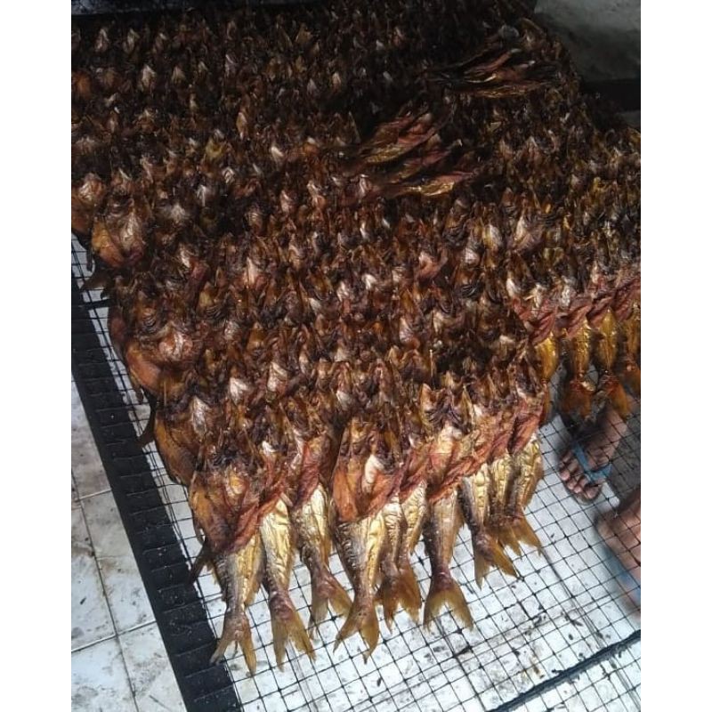 

ikan salai patin asli riau