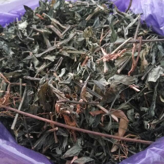 

Laris Rempah. Sambiloto Kering 1kg Daun Sambiloto 1000gr