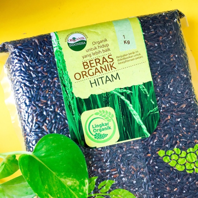 

Beras hitam organik / Organic black rice / beras diabetes / beras diet