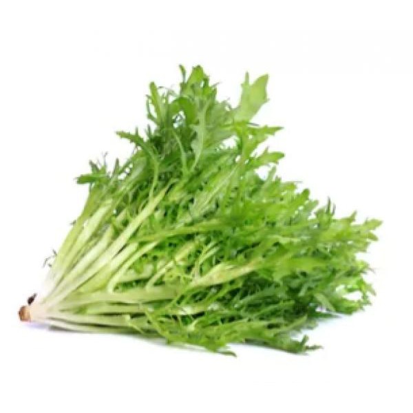 

ENDIVE LETTUCE 500 GRAM