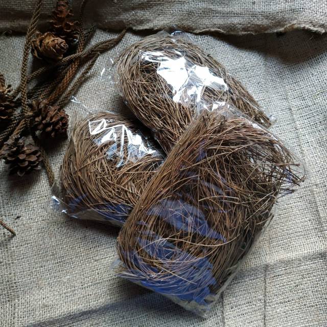  Daun  pinus kering bahan dekorasi  mahar rustic  Shopee 