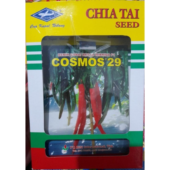 

Cabai besar cosmos 29