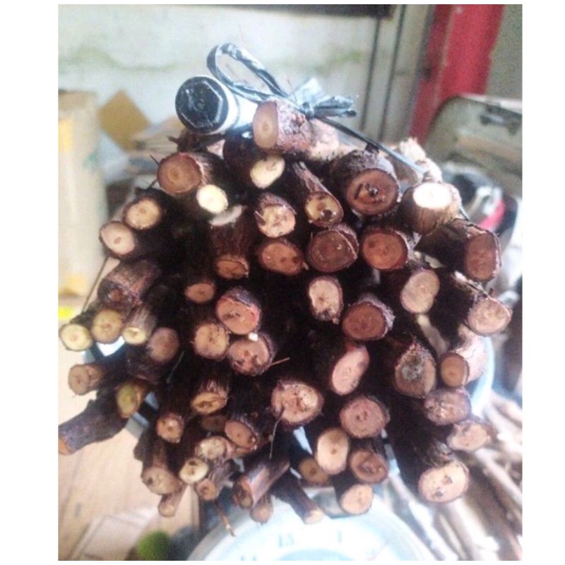 Cutting anggur alfonso