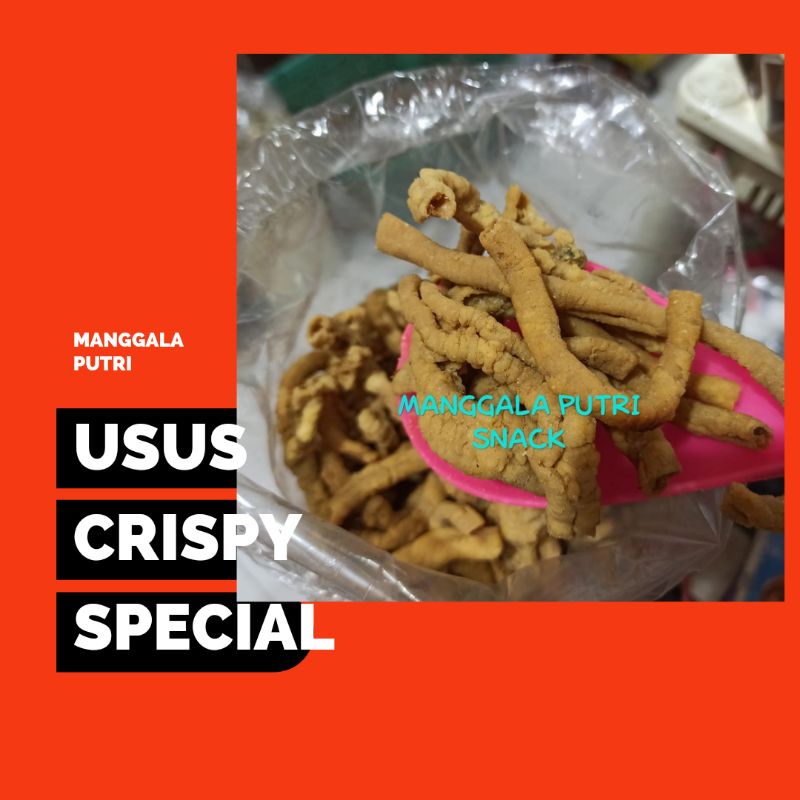 

KERIPIK USUS TEPUNG GURIH DAN LEZAT/ KRIPIK USUS/ USUS KRISPI/ USUS CRISPY MURAH TERMURAH