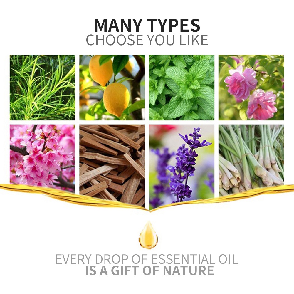 AROMATERAPI AROMATHERAPY ESSENTIAL OIL / OIL DISFUSER / OIL PENGHARUM RUANGAN / ESSENTIAL OIL / PIPET TETES OIL