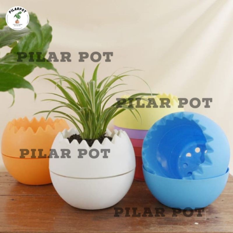 Pot bunga tanaman motif bola WARNA WARNI 18cm -  NKT TELUR
