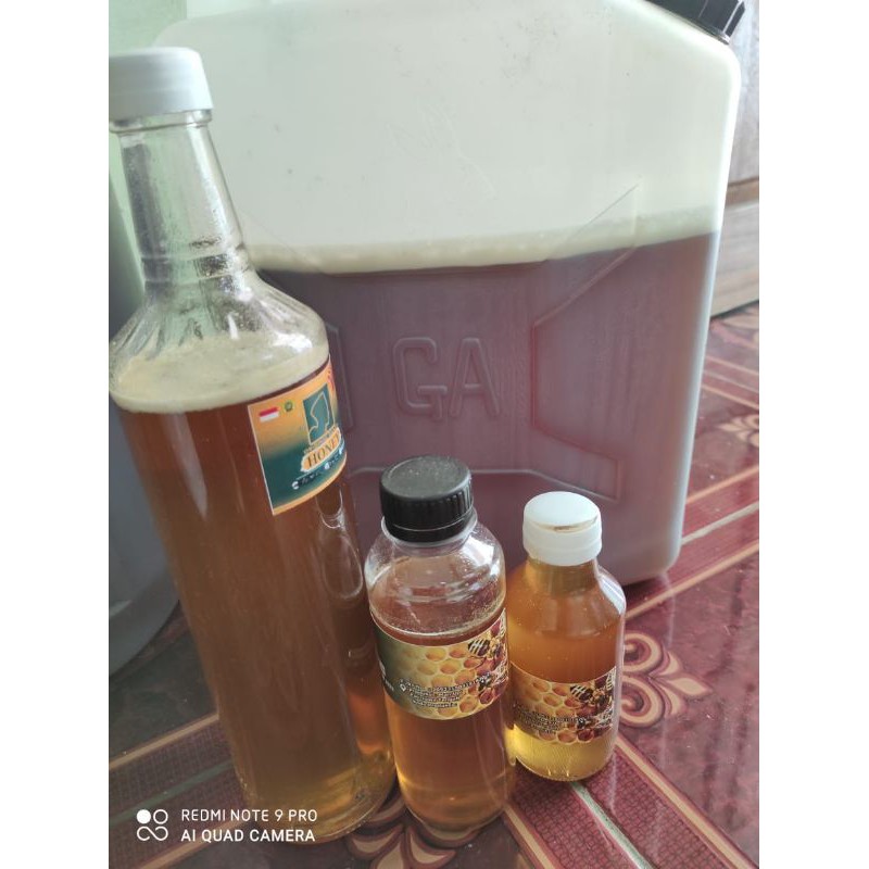

madu kelengkeng