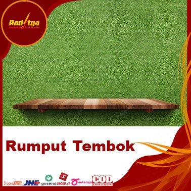 Rumput Sintetis Plastik Ukuran 1 Meter Tebal 1 cm Untuk Tembok Dari Raditya Desain Art