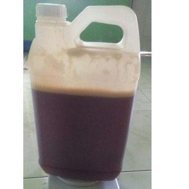 

grosir madu sialang jambi 5 kg, madu murni madu hutan sialang