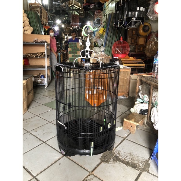 Murai Ebod Lis akrilik no.2