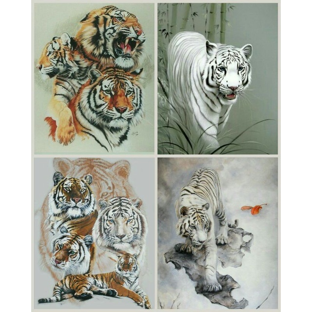 4 Poster Macan Putih Ukuran A3