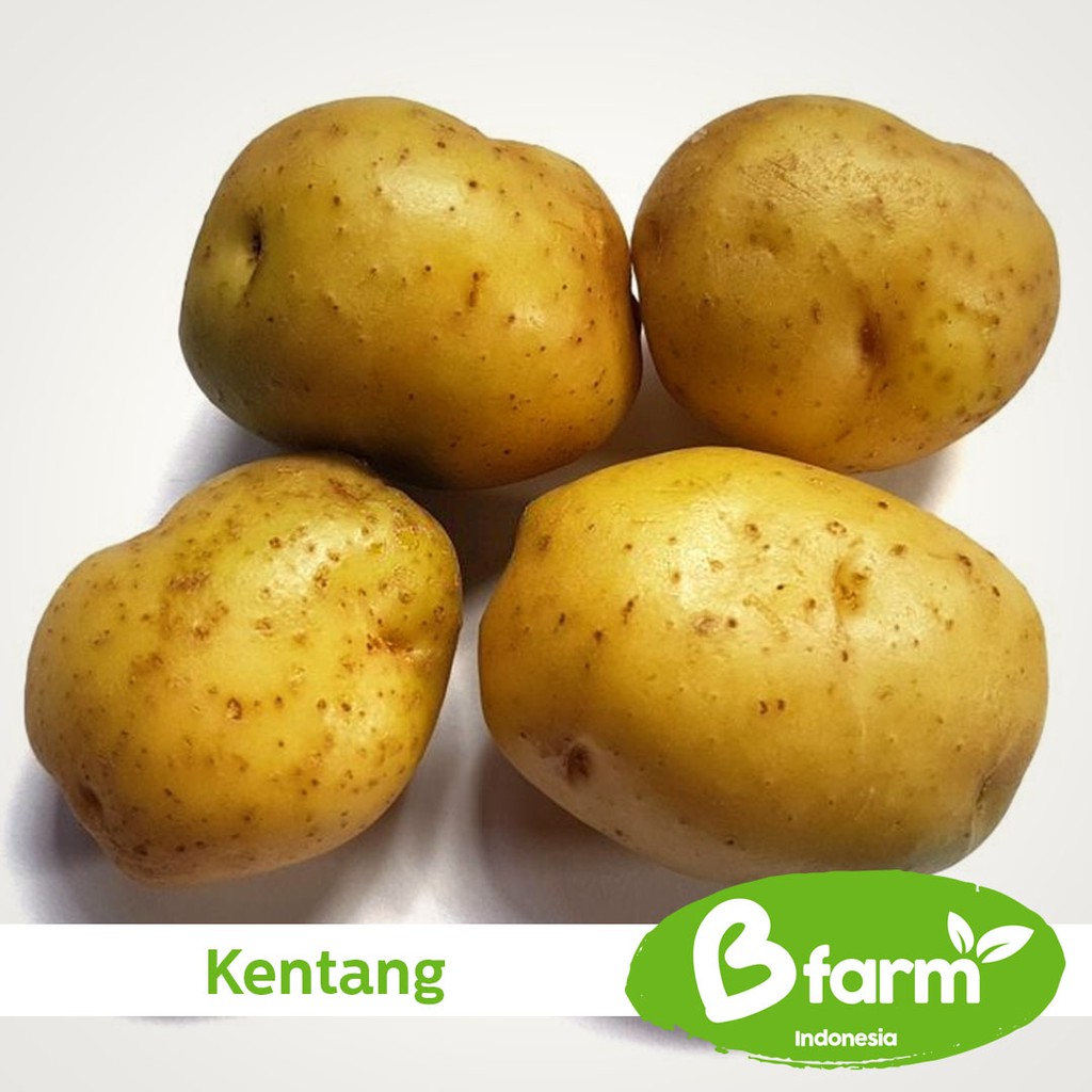 

Kentang 500 Gr (Area Bandung & Cimahi only) - Sayur Rumahan