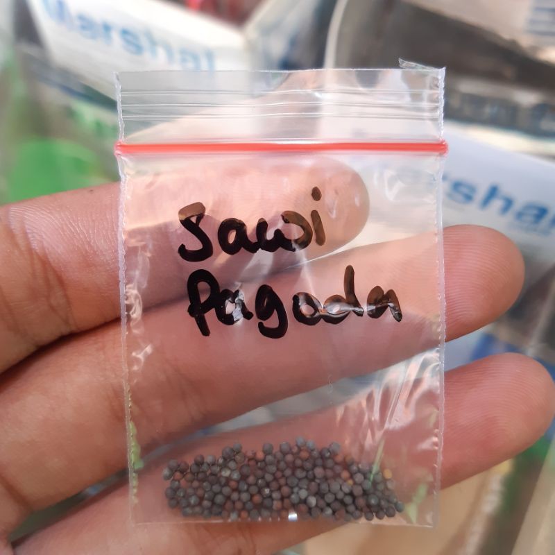 BENIH SAWI PAGODA KEMASAN EKONOMIS