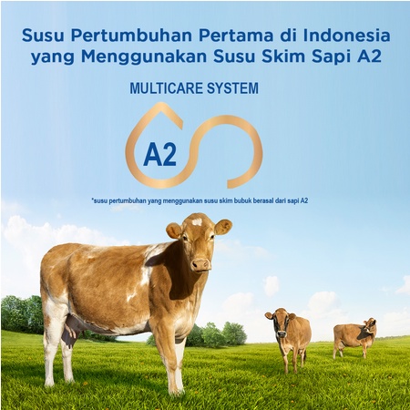 S26 Procal Ultima 850 gr