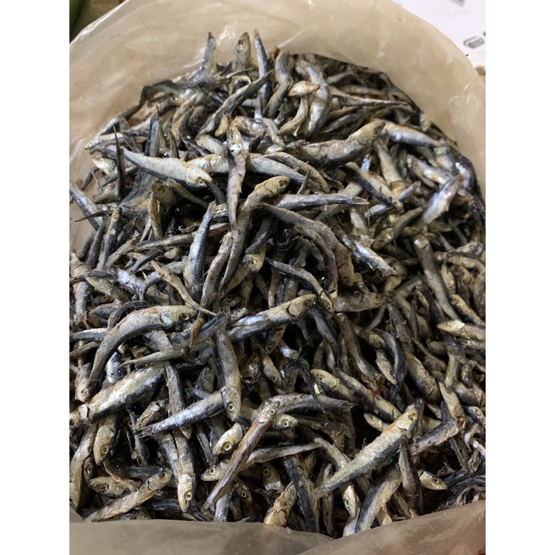 

teri hitam/ teri batu