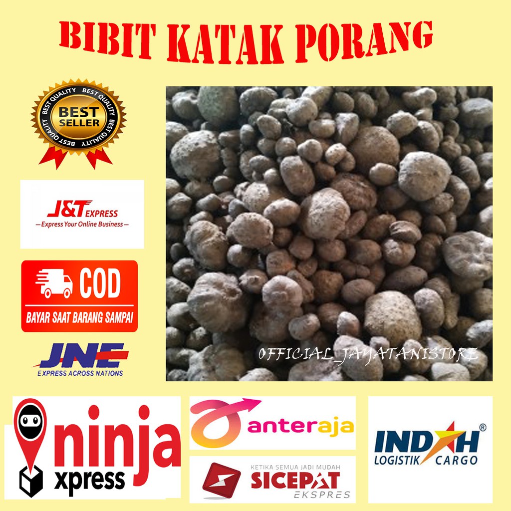 PORANG KATAK PORANG BIBIT PORANG KATAK 1/2 KG