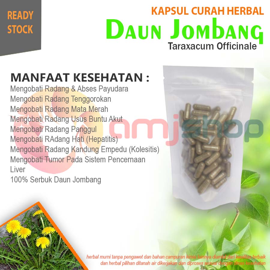 Jual Daun Jombang Kapsul Curah Herbal Daun Jombang Kapsul Herbal Radang