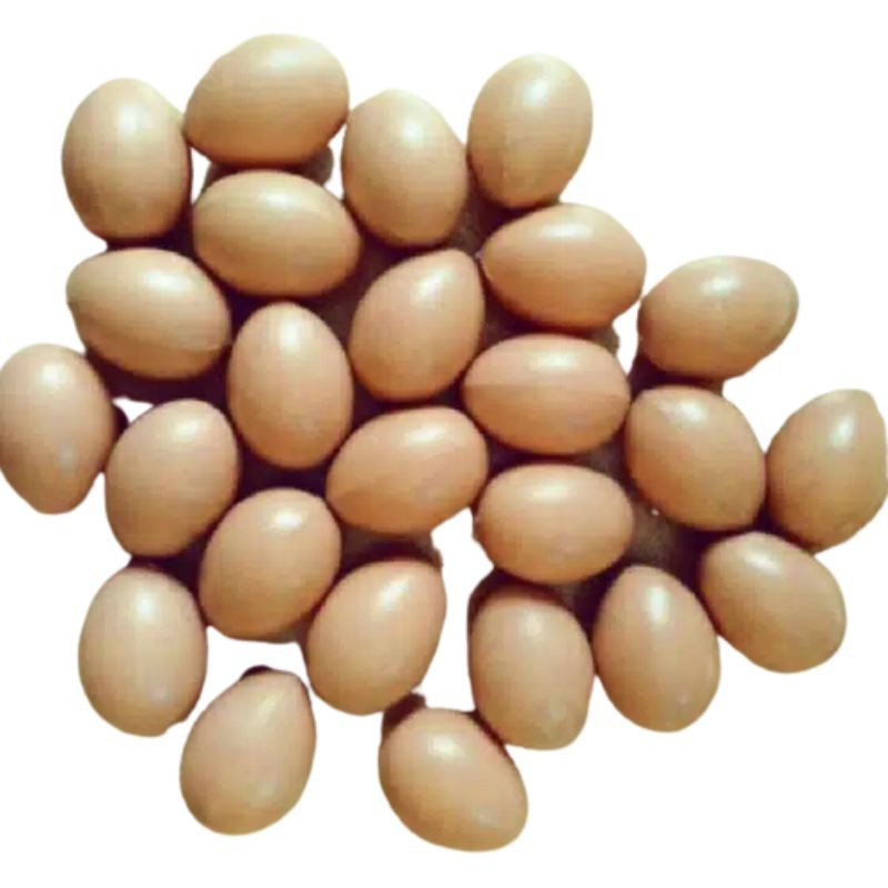 

Telur Ayam Mainan Anak isi 20 pcs