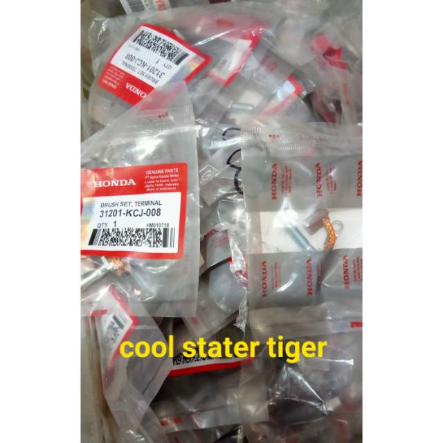 Arang stater tiger/ cool stater tiger