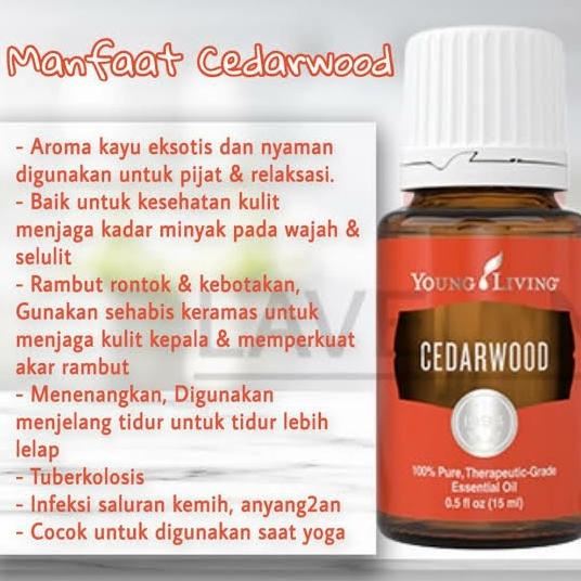 Harga Cedarwood Young Terbaru November 2021 Biggo Indonesia