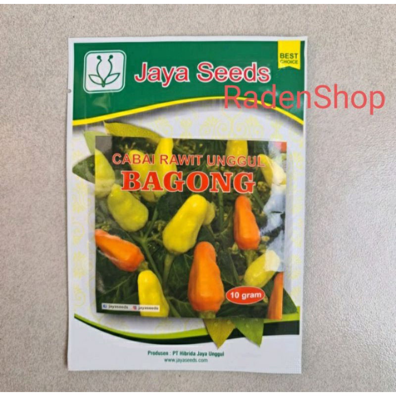 Isi 10gr. Benih Cabe Rawit Putih BAGONG - Bibit Cabai Rawit