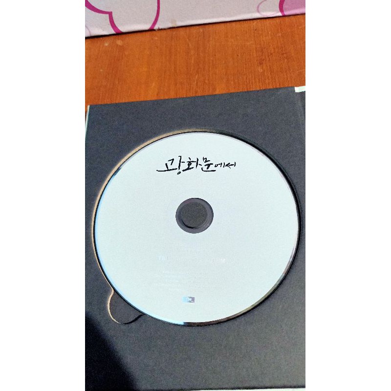 At Gwanghwamun - Kyuhyun (Unsealed)