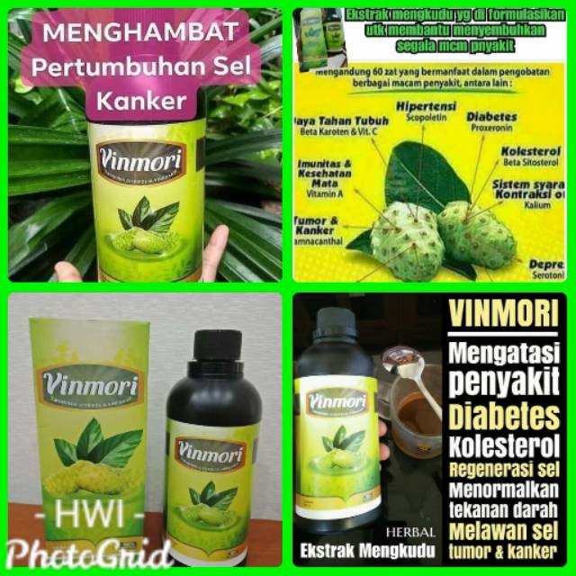 

VINMORI 100% ORIGINAL CUKA MANGKUDU