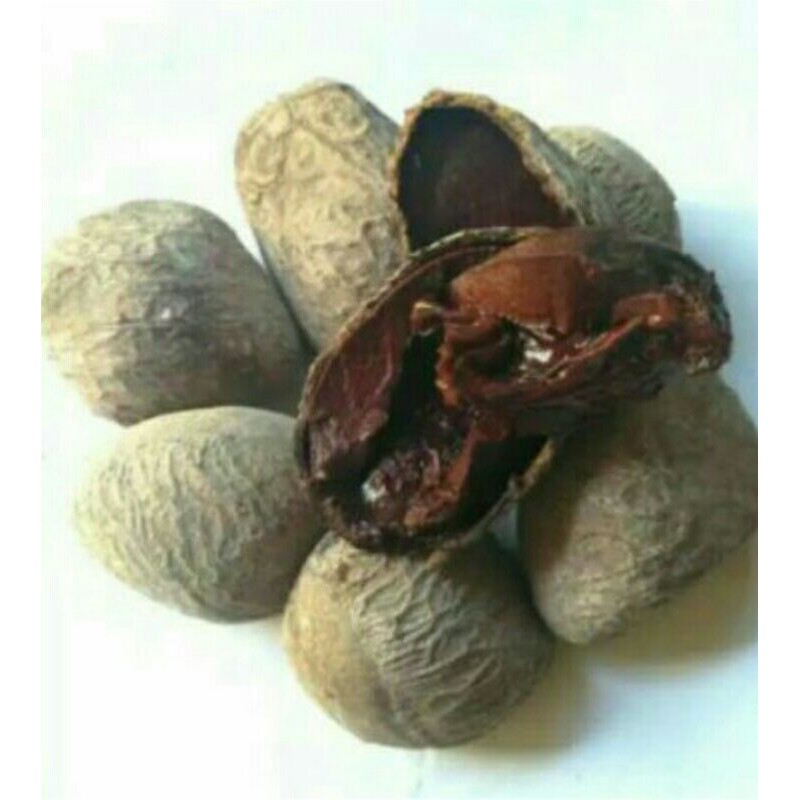 

Puri Segar Shop, Kluwek Bumbu Rawon 250 Gra