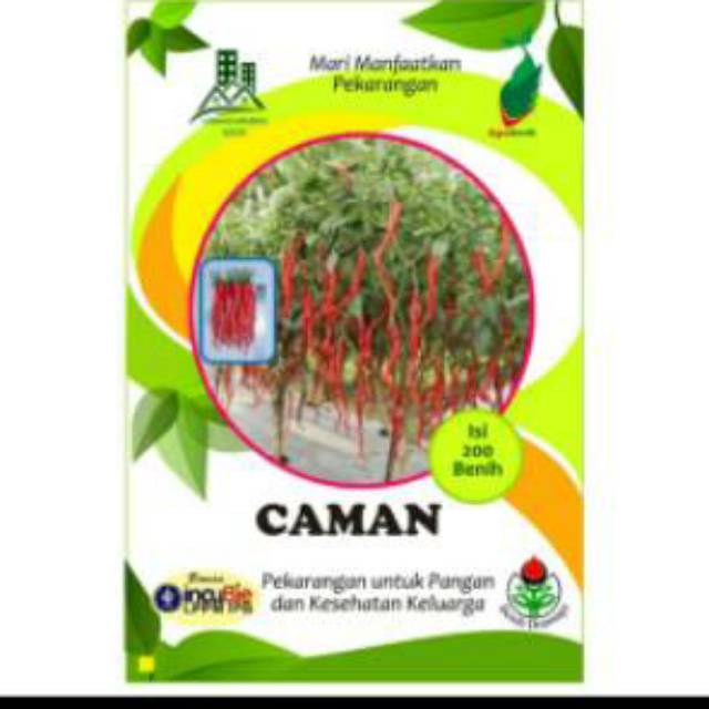Benih cabai cabe keriting CAMAN tipe kopai IPB