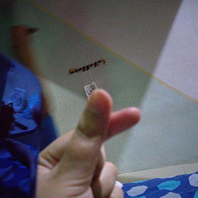 Grosir Tissue Facial - Tissue Tessa Travel - Tissue 50 S - Travel Pack - Mini - Isi 80 Pc